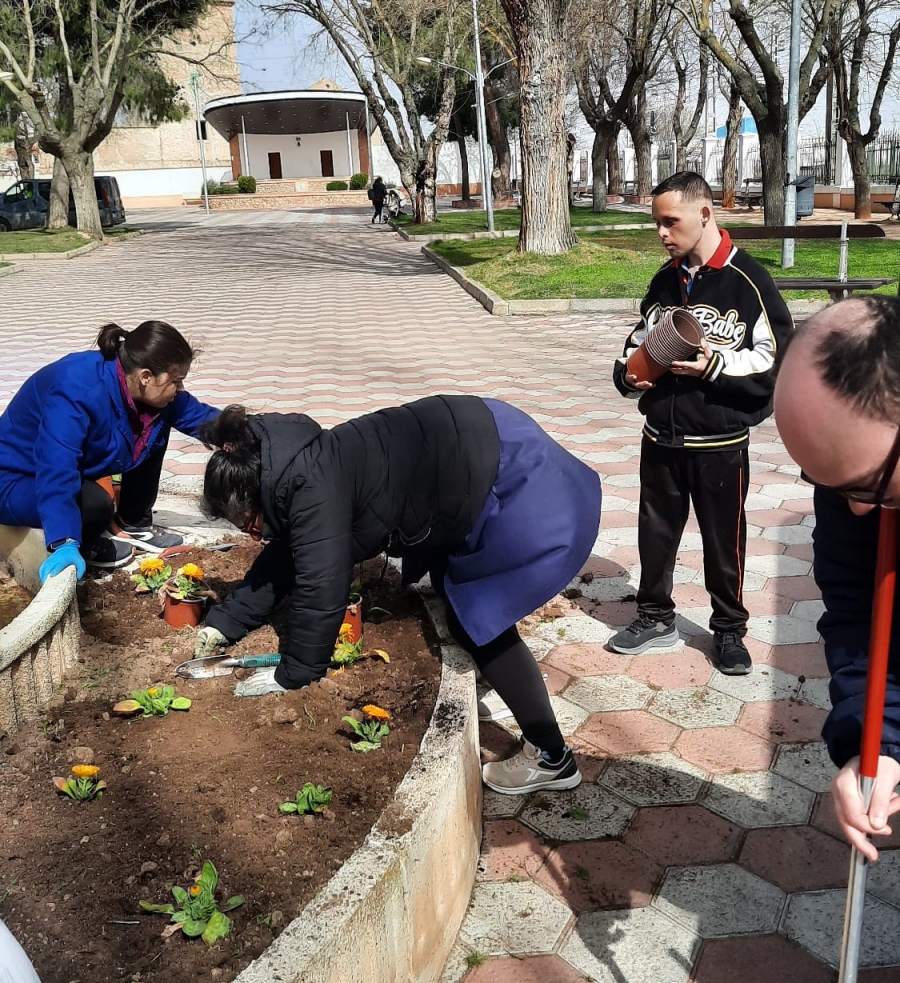 El Centro Ocupacional continúa con el cuidado de las zonas verdes y la plantación de flores en Villacañas 3 centro ocupacional villacanas 4