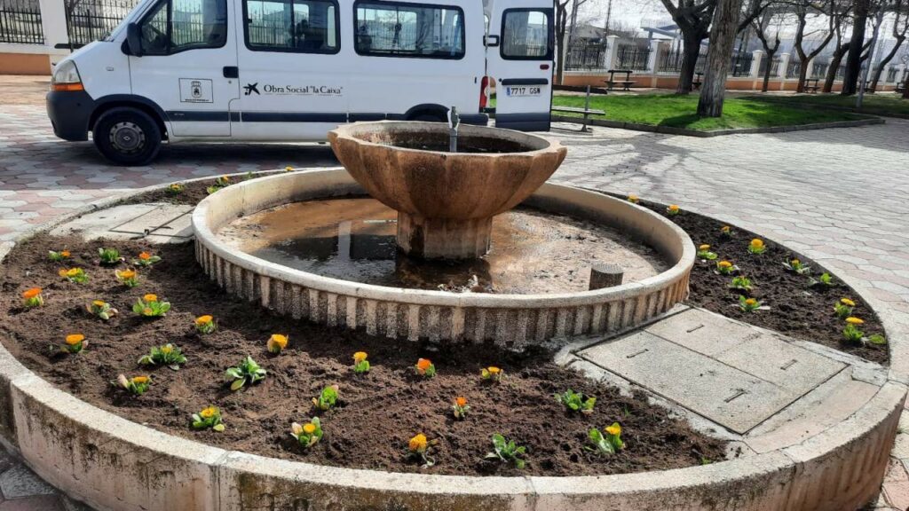 El Centro Ocupacional continúa con el cuidado de las zonas verdes y la plantación de flores en Villacañas 2 centro ocupacional villacanas 5