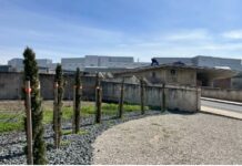 El Colegio de Enfermería de Ciudad Real participa en el homenaje a los médicos fallecidos por la COVID-19 El Colegio de Enfermería de Ciudad Real participa en el homenaje a los médicos fallecidos por la COVID-19