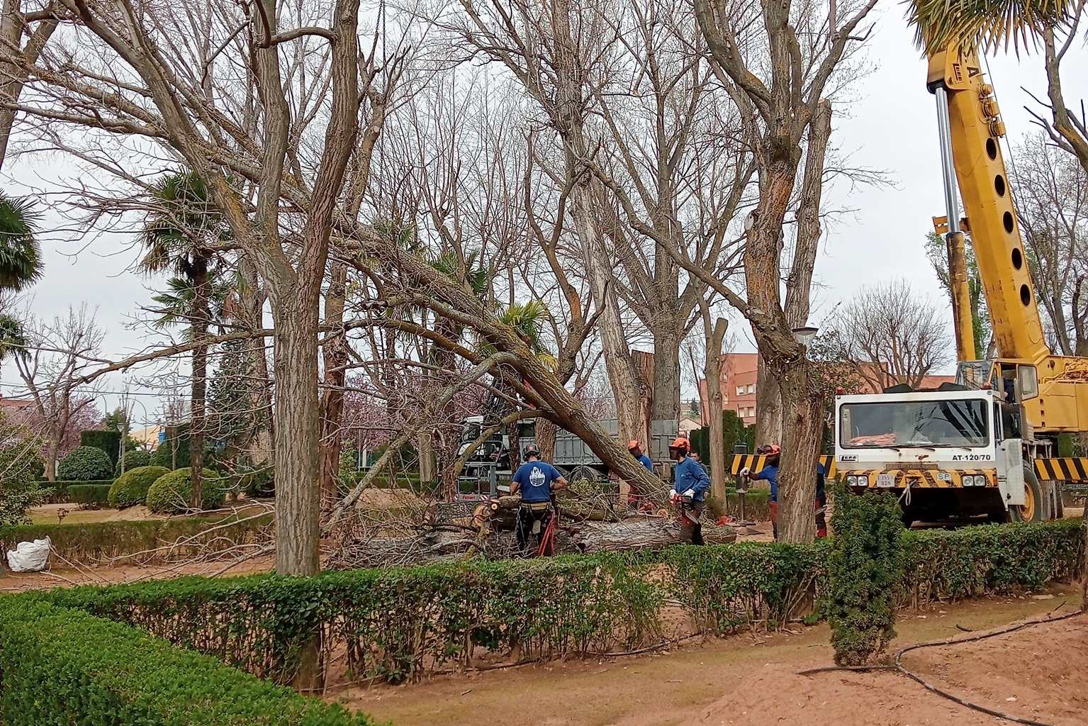 Continúan los trabajos de mantenimiento en el parque de la Constitución