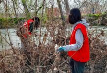 Cruz Roja organiza una nueva jornada de limpieza en la ribera del Júcar el 21 de marzo Cruz Roja organiza una nueva jornada de limpieza en la ribera del Júcar el 21 de marzo