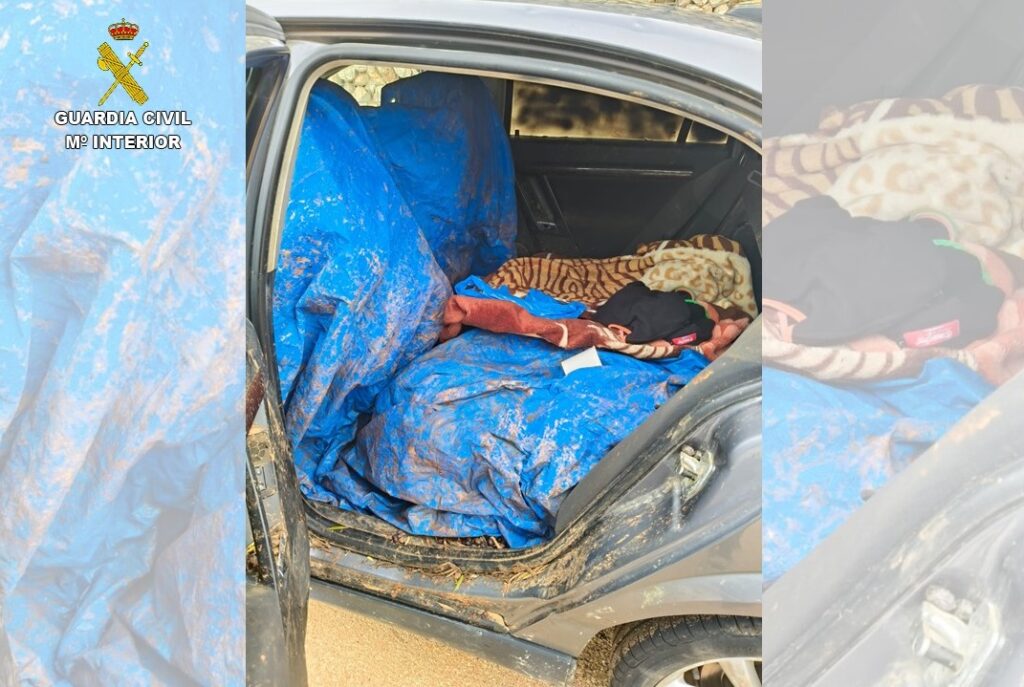 Operación “OLIAMBRA”: desmantelado un clan que saqueaba olivares en plena campaña 2 desmantelado clan olivares