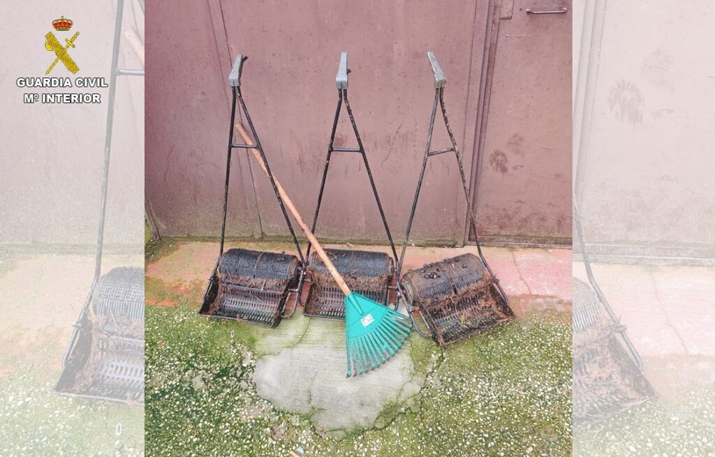 Operación “OLIAMBRA”: desmantelado un clan que saqueaba olivares en plena campaña 3 desmantelado clan olivares 4