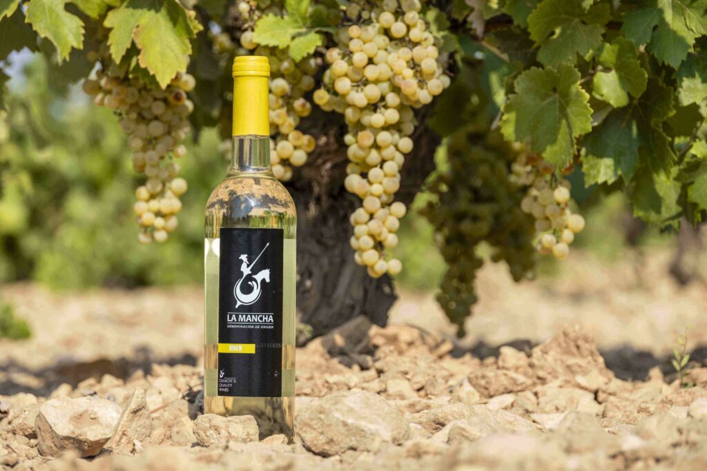 La Interprofesional DO La Mancha será Medalla de Honor 2026 de la cooperativa El Progreso de Villarrubia de los Ojos 3 La Interprofesional DO La Mancha será Medalla de Honor 2026 de la cooperativa El Progreso de Villarrubia de los Ojos