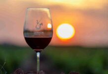 La Interprofesional DO La Mancha será Medalla de Honor 2026 de la cooperativa El Progreso de Villarrubia de los Ojos La Interprofesional DO La Mancha será Medalla de Honor 2026 de la cooperativa El Progreso de Villarrubia de los Ojos