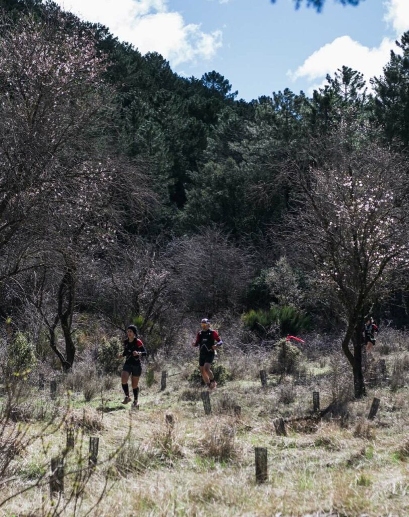 Trail de Vianos: el CDE JM Serna Seguros firma una jornada de esfuerzo, montaña y superación en la Sierra de Alcaraz 11 jmsernasegurossierraalcaraz 11