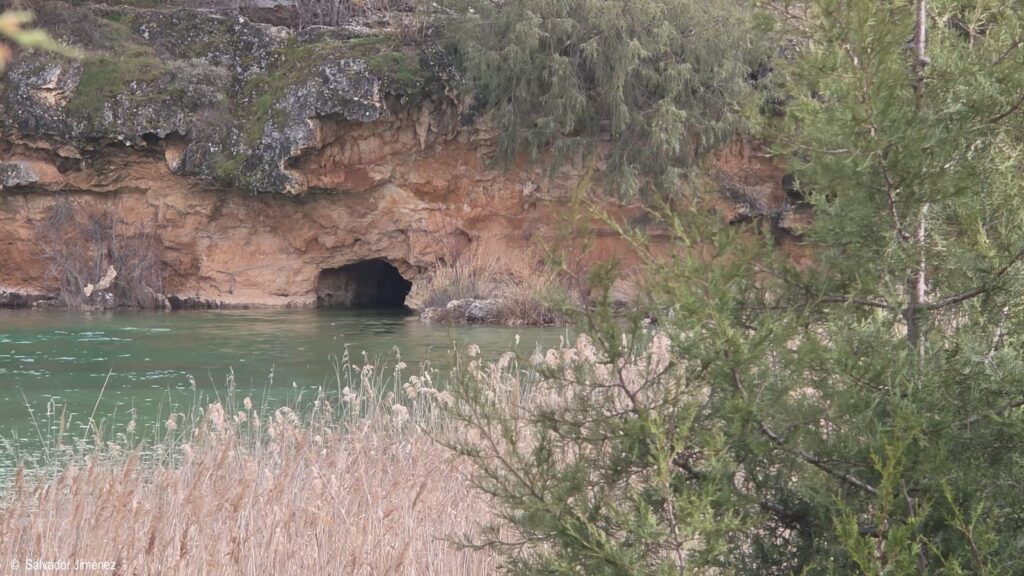 Ruidera revive: el agua regresa, vuelven las cascadas y el parque recupera su alma 3 labelleza de las lagunas de ruidera 10