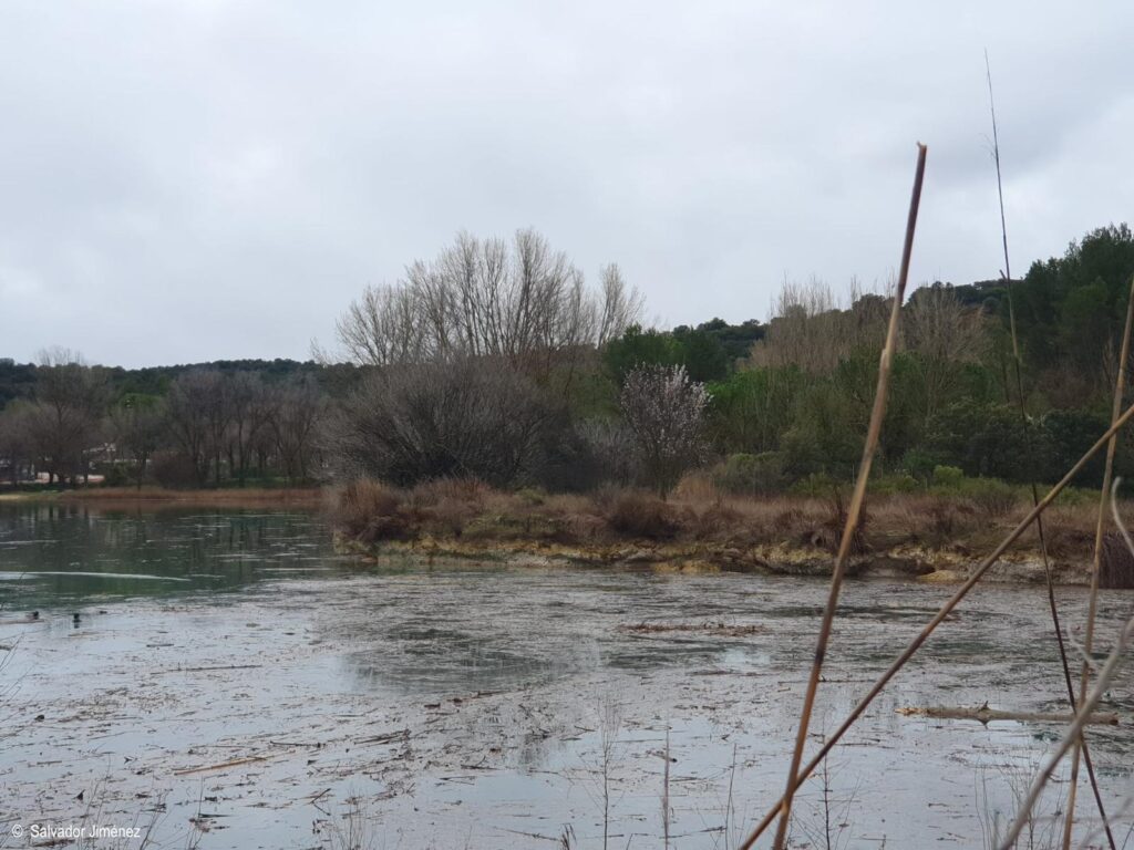 Ruidera revive: el agua regresa, vuelven las cascadas y el parque recupera su alma 10 labelleza de las lagunas de ruidera 12