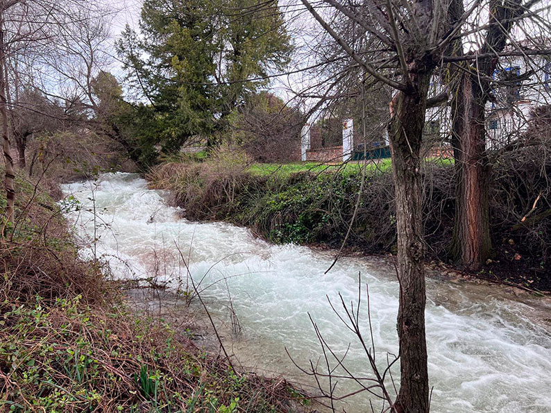 Ruidera revive: el agua regresa, vuelven las cascadas y el parque recupera su alma 8 labelleza de las lagunas de ruidera 5