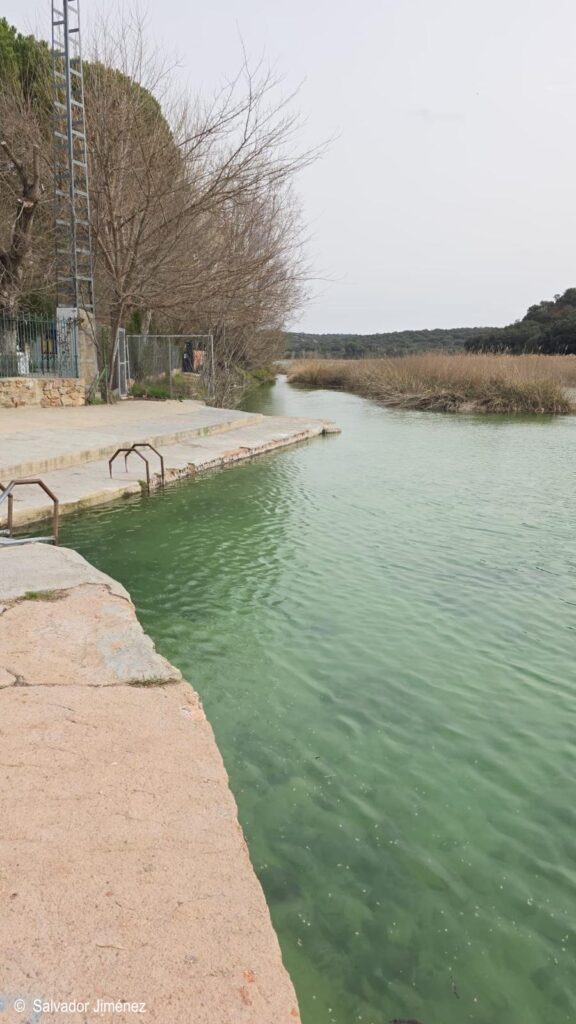 Ruidera revive: el agua regresa, vuelven las cascadas y el parque recupera su alma 1 labelleza de las lagunas de ruidera 8