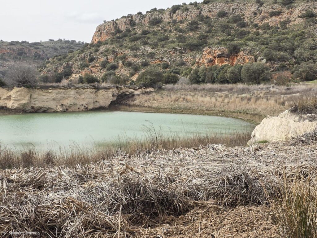 Ruidera revive: el agua regresa, vuelven las cascadas y el parque recupera su alma 2 labelleza de las lagunas de ruidera 9