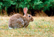 ASAJA CLM valora las medidas anunciadas, pero insiste en que siguen siendo insuficientes ASAJA CLM valora las medidas anunciadas, pero insiste en que siguen siendo insuficientes