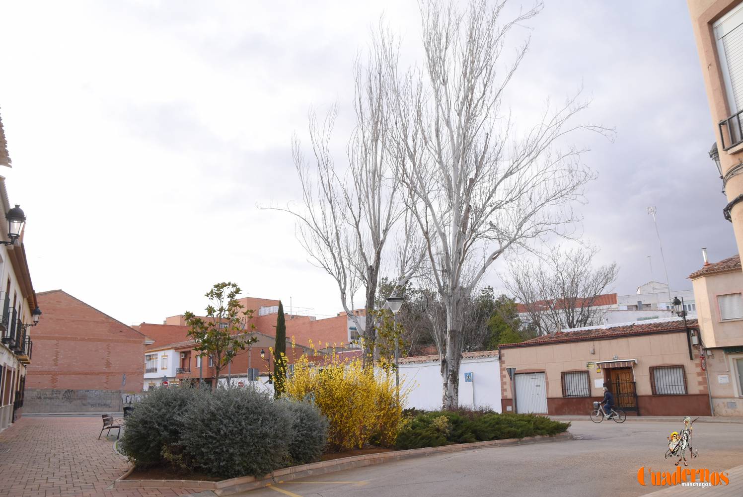 Tomelloso: nuestros nombres y nuestros apellidos (II)