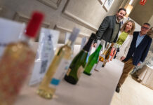 Núñez pide el apoyo del PSOE a las medidas del PP para bajar el precio de los combustibles, la luz o el impuesto de la renta Núñez pide el apoyo del PSOE a las medidas del PP para bajar el precio de los combustibles, la luz o el impuesto de la renta