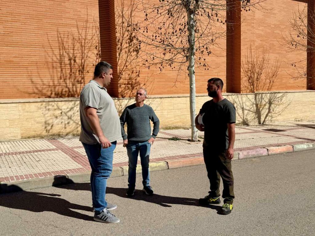 El Ayuntamiento de Villacañas ultima la campaña de poda invernal con actuaciones en más de 400 árboles 5 podainvernalvillacanas