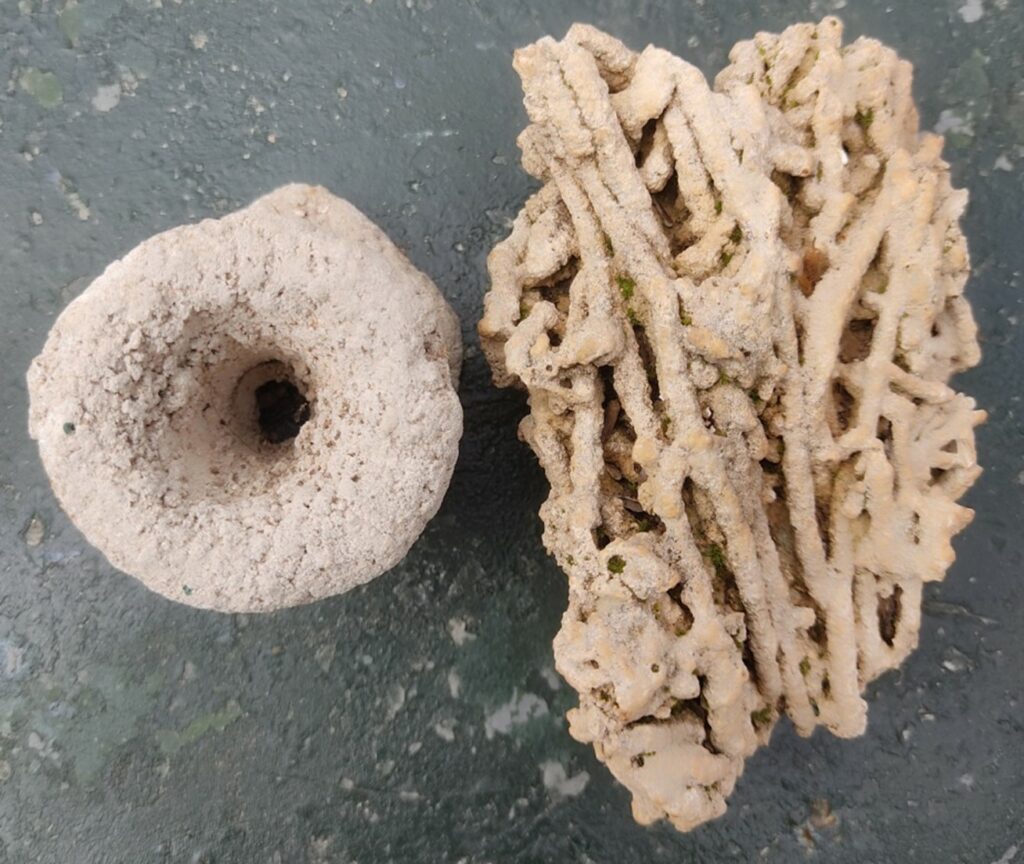 Proceso de fijación del carbonato cálcico en el Alto Guadiana, en el siglo XX 1 preciciptacioncarbonatocalcico alto guadiana 2