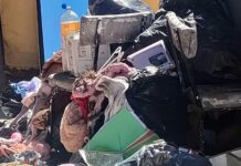 El PSOE denuncia que el alcalde de Miguelturra da la espalda al municipio mientras “se hunde entre socavones, suciedad y plaga de ratas” El PSOE denuncia que el alcalde de Miguelturra da la espalda al municipio mientras “se hunde entre socavones, suciedad y plaga de ratas”