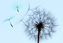 El tiempo en Castilla-La Mancha hoy, 3 de marzo de 2026: suben las máximas y llegan chubascos, viento y avisos amarillos El tiempo en Castilla-La Mancha hoy, 3 de marzo de 2026: suben las máximas y llegan chubascos, viento y avisos amarillos