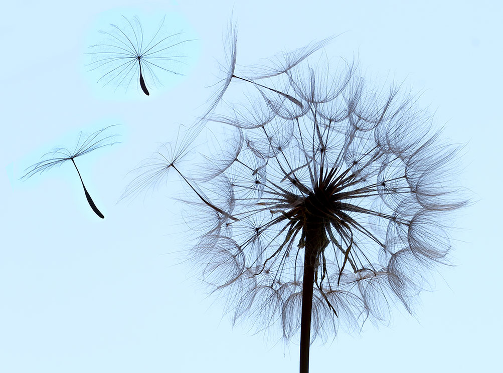 El tiempo en Castilla-La Mancha hoy, 3 de marzo de 2026: suben las máximas y llegan chubascos, viento y avisos amarillos