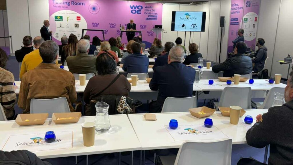 La WOOE y la Diputación de Toledo impulsan la formación especializada en aceite de oliva virgen extra para profesionales de la hostelería 1 wooe diputacion toledo
