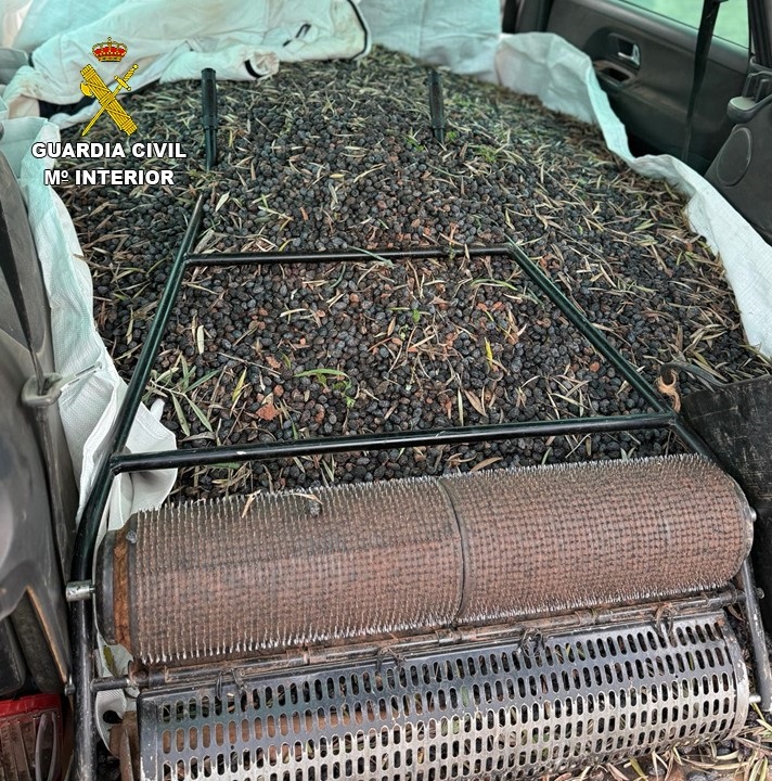Detenidas dos personas por la receptación de más de 131.000 kilos de aceituna robada