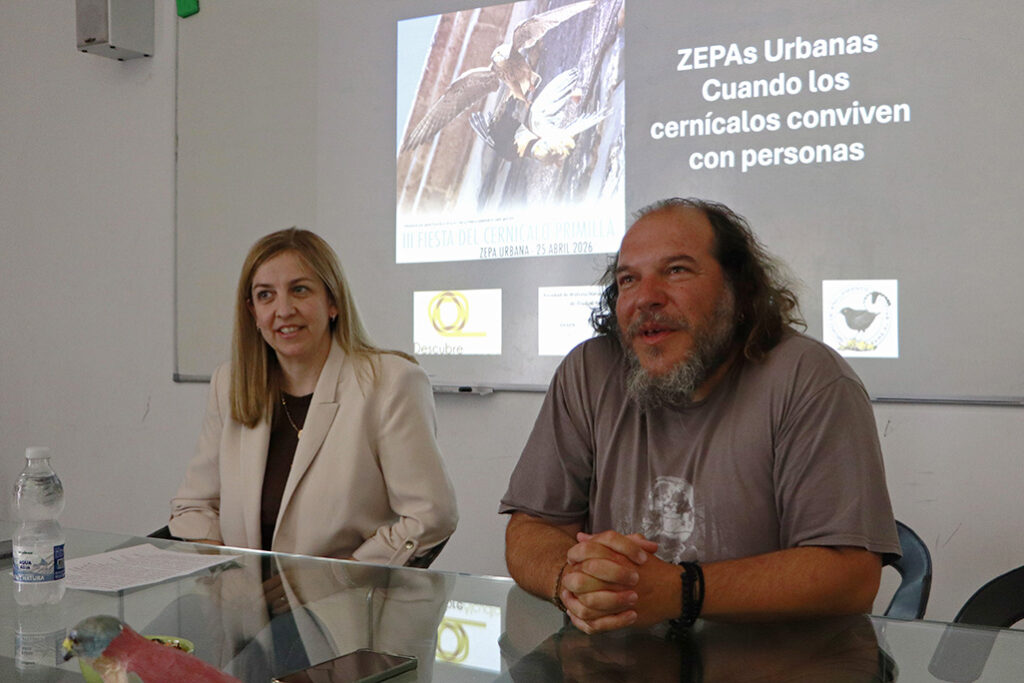 almodovardelcampo cernicalo 3