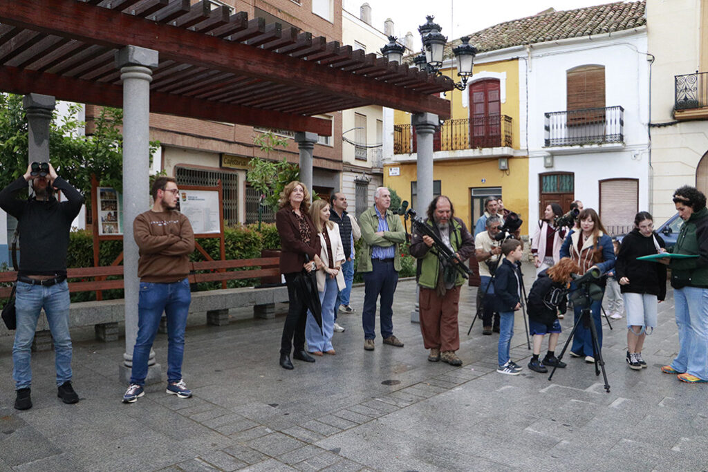 almodovardelcampo cernicalo 4