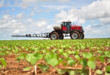 ASAJA Ciudad Real denuncia el abandono del regadío y la criminalización injusta de los agricultores de la provincia ASAJA Ciudad Real denuncia el abandono del regadío y la criminalización injusta de los agricultores de la provincia