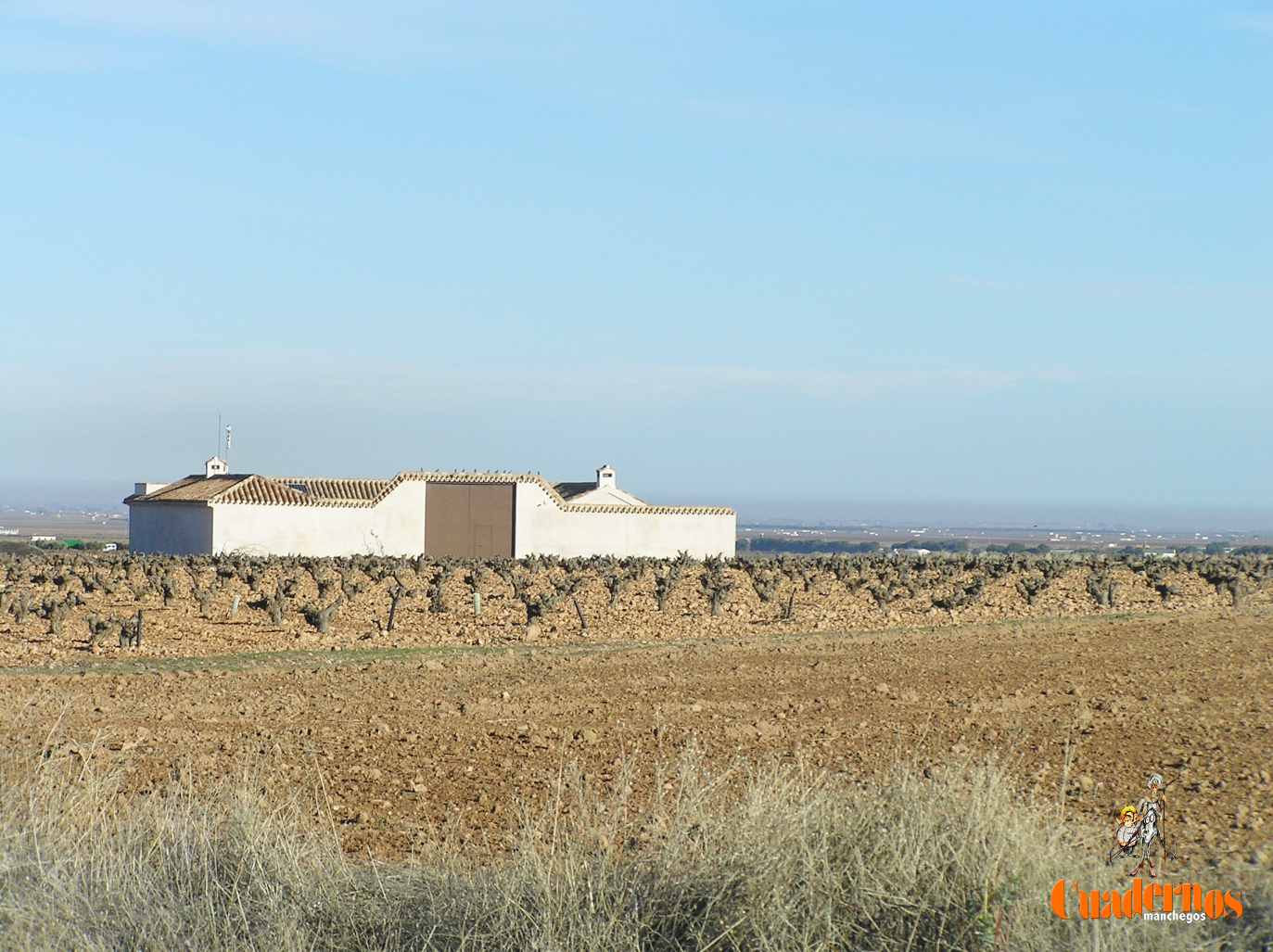 ASAJA Ciudad Real celebra el endurecimiento de las penas por hurto en el campo y el avance legal frente a la reincidencia