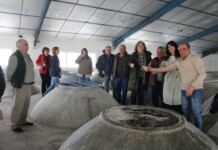 Blanca Fernández destaca el “gran dinamismo” del sector vitivinícola de Ciudad Real con un nuevo récord de exportaciones impulsado por las ayudas VINATI Blanca Fernández destaca el “gran dinamismo” del sector vitivinícola de Ciudad Real con un nuevo récord de exportaciones impulsado por las ayudas VINATI