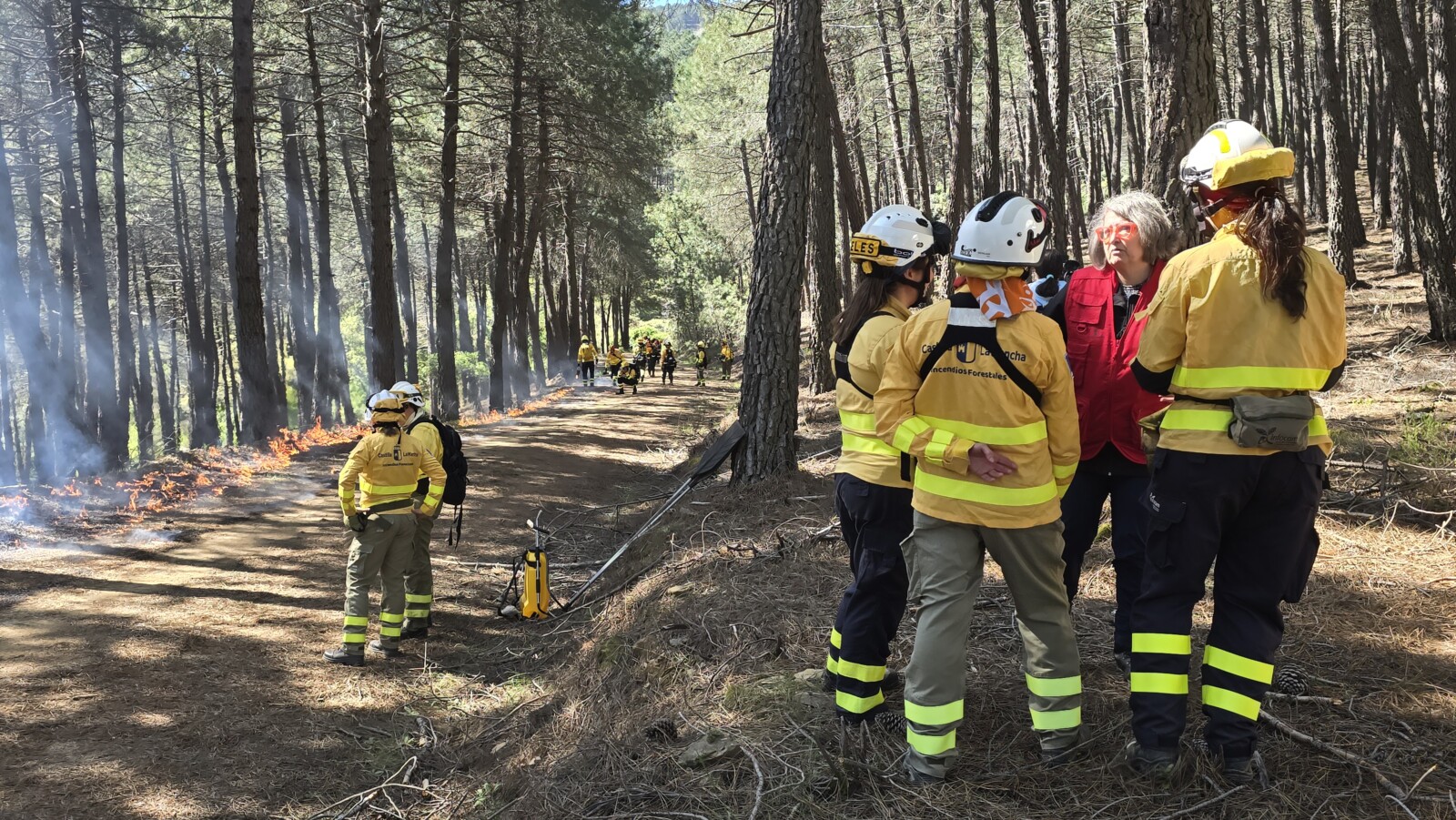 C-LM destaca la importancia de trabajos preventivos para minimizar potenciales riesgos de incendios forestales 2 C-LM destaca la importancia de trabajos preventivos para minimizar potenciales riesgos de incendios forestales