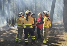 C-LM destaca la importancia de trabajos preventivos para minimizar potenciales riesgos de incendios forestales C-LM destaca la importancia de trabajos preventivos para minimizar potenciales riesgos de incendios forestales