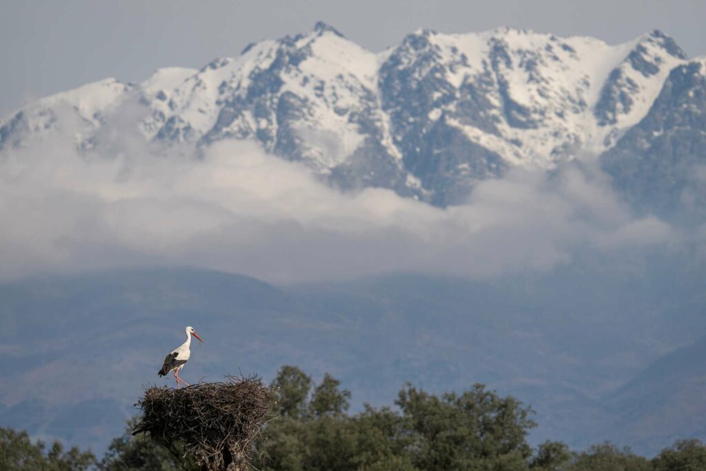 La Campana de Oropesa acogerá el I Maratón Fotográfico “Luces de la Dehesa”, evento gratuito en uno de los grandes destinos de naturaleza de España 2 campana de oropesa