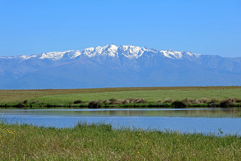 La Campana de Oropesa acogerá el I Maratón Fotográfico “Luces de la Dehesa”, evento gratuito en uno de los grandes destinos de naturaleza de España 1 campana de oropesa 2
