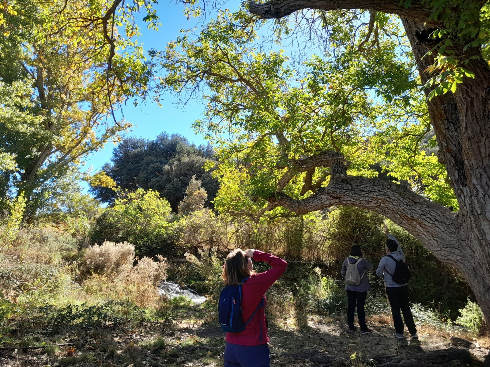 Castilla-La Mancha invita a vivir la primavera en la naturaleza con más de 40 actividades gratuitas del programa ambiental ‘Vive Tu Espacio’ 2 Castilla-La Mancha invita a vivir la primavera en la naturaleza con más de 40 actividades gratuitas del programa ambiental ‘Vive Tu Espacio’