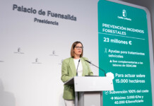 Castilla-La Mancha moviliza 23 millones de euros para prevenir incendios forestales y proteger 15.000 hectáreas antes del verano Castilla-La Mancha moviliza 23 millones de euros para prevenir incendios forestales y proteger 15.000 hectáreas antes del verano