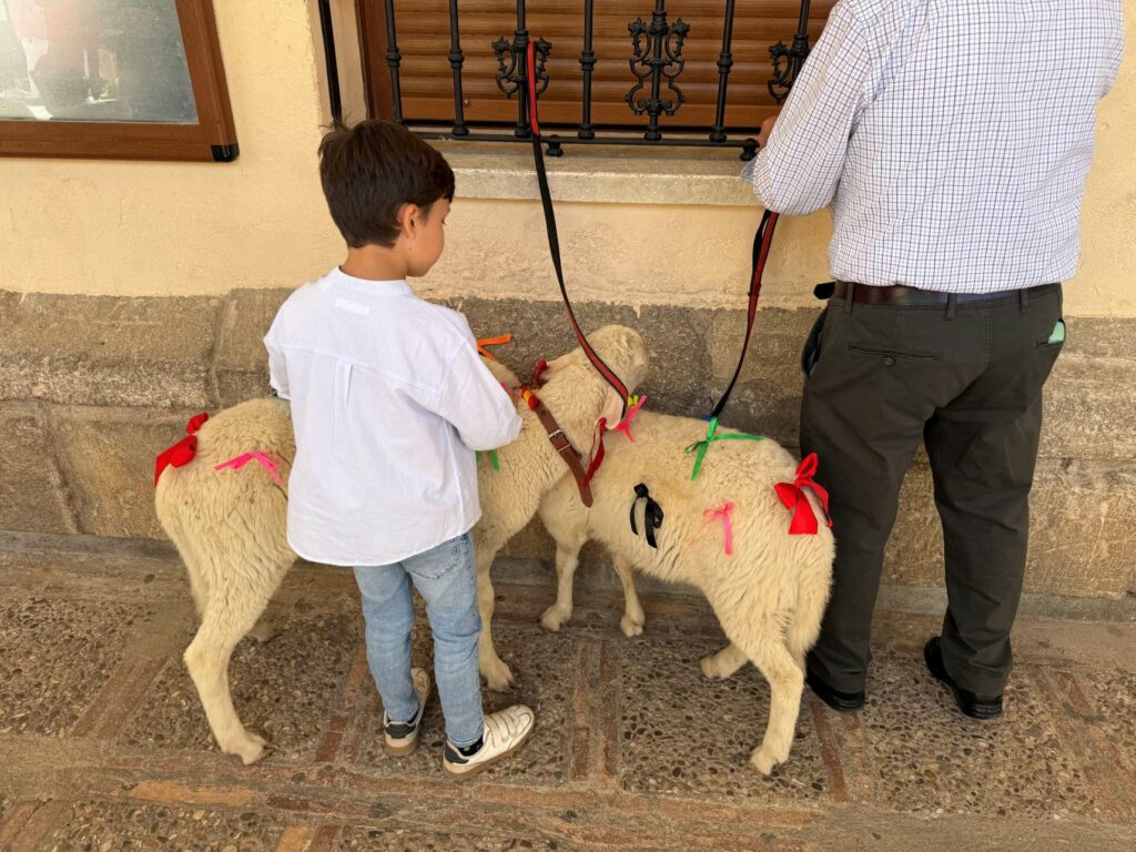 danzanates villacanas 5