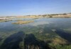 El Gobierno de Castilla-La Mancha aprueba el modelo de gobernanza de la Reserva de la Biosfera de la Mancha Húmeda El Gobierno de Castilla-La Mancha aprueba el modelo de gobernanza de la Reserva de la Biosfera de la Mancha Húmeda