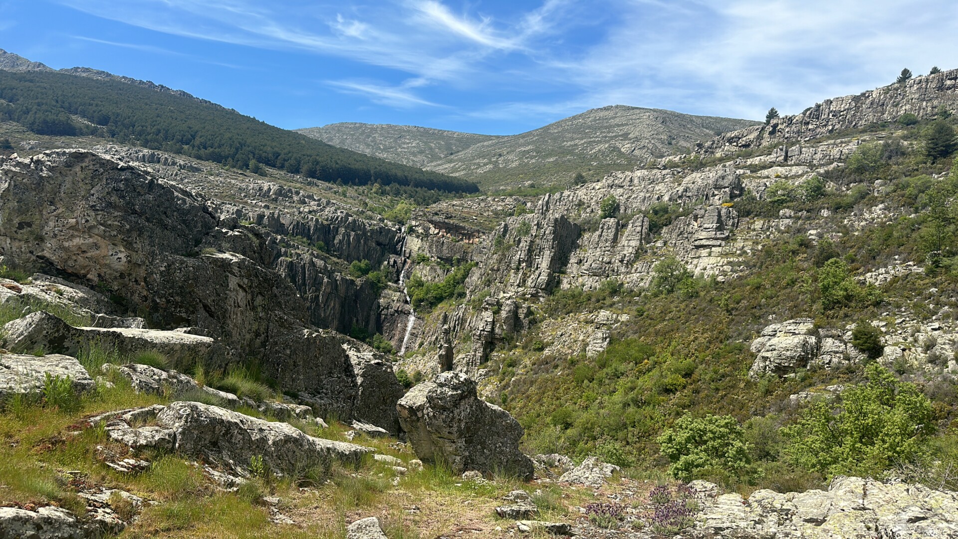 El Gobierno de Castilla-La Mancha aprueba el Plan Director de la Red Natura 2000 para reforzar la conservación de su patrimonio natural