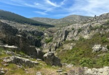 El Gobierno de Castilla-La Mancha aprueba el Plan Director de la Red Natura 2000 para reforzar la conservación de su patrimonio natural El Gobierno de Castilla-La Mancha aprueba el Plan Director de la Red Natura 2000 para reforzar la conservación de su patrimonio natural