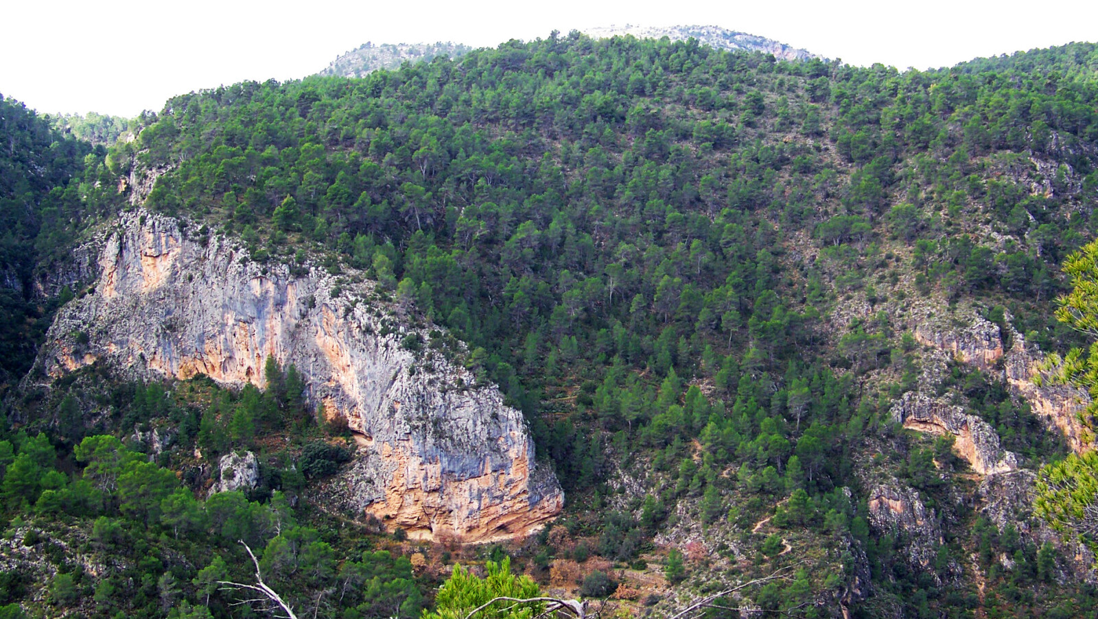 El Gobierno de Castilla-La Mancha aprueba el Plan Director de la Red Natura 2000 para reforzar la conservaci&oacute;n de su patrimonio natural