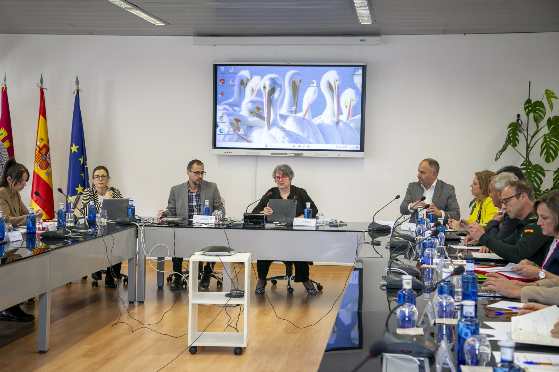 El Gobierno de Castilla-La Mancha constituye la Mesa Regional del Conejo de Monte para coordinar la lucha contra la sobrepoblación de la especie en el territorio