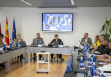 El Gobierno de Castilla-La Mancha constituye la Mesa Regional del Conejo de Monte para coordinar la lucha contra la sobrepoblación de la especie en el territorio El Gobierno de Castilla-La Mancha constituye la Mesa Regional del Conejo de Monte para coordinar la lucha contra la sobrepoblación de la especie en el territorio