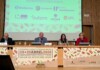 El IRIAF de Tomelloso acoge el Encuentro Internacional Phytoma sobre fitoSanidad en frutos secos El Gobierno regional pone en valor el liderazgo nacional e internacional de Castilla-La Mancha en frutos secos y su proyección de futuro