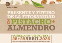 Tomelloso acoge el Encuentro Internacional Phytoma Presente y Futuro de la FitoSanidad en Pistacho y Almendro Tomelloso acoge el Encuentro Internacional Phytoma Presente y Futuro de la FitoSanidad en Pistacho y Almendro
