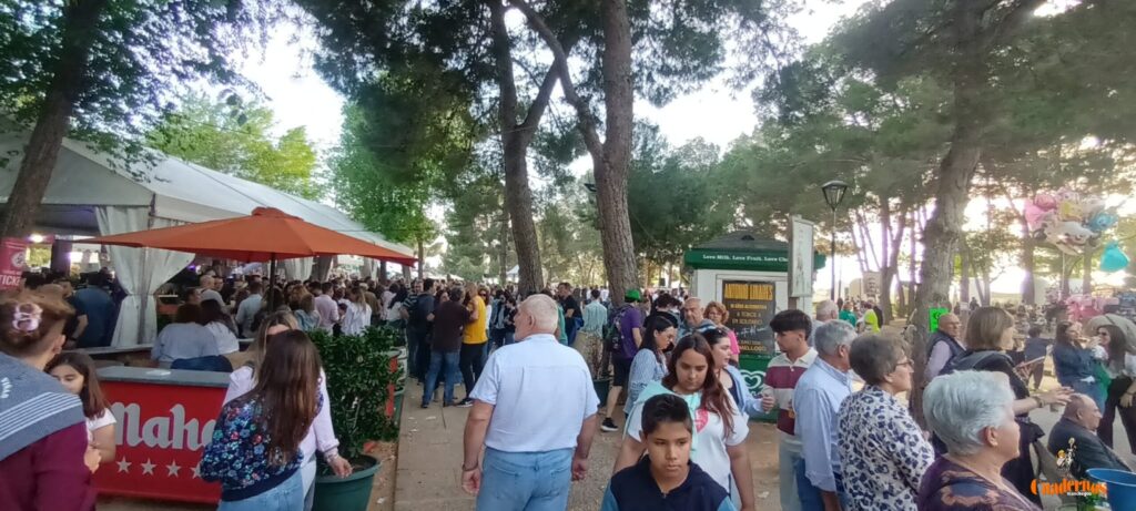 festival folklorico romeria virgen vinas024