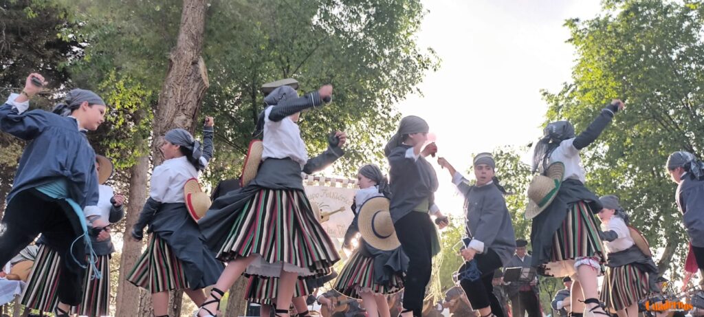 festival folklorico romeria virgen vinas072