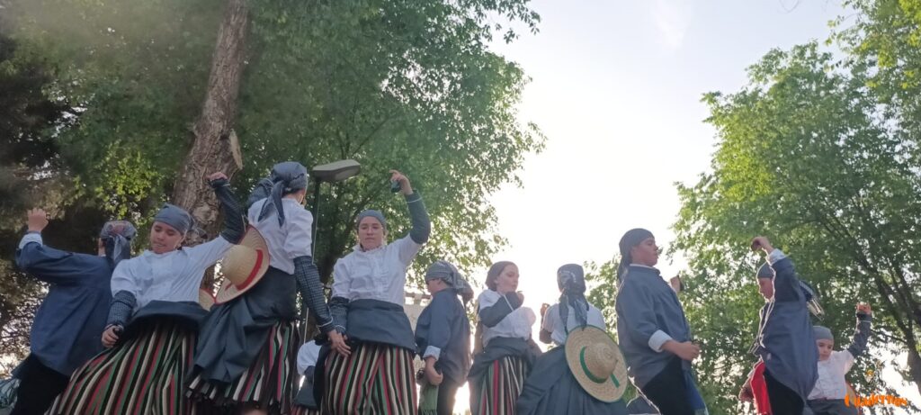festival folklorico romeria virgen vinas073