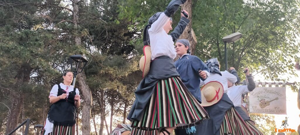 festival folklorico romeria virgen vinas082