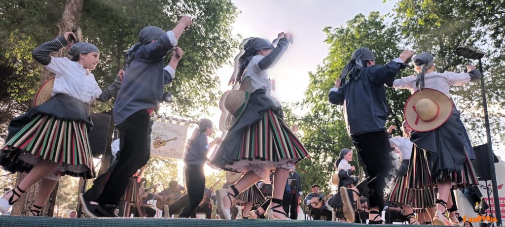 festival folklorico romeria virgen vinas083